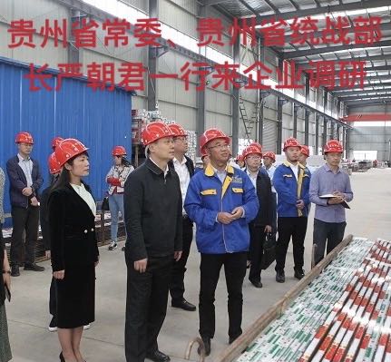 貴州省常委、貴州省統(tǒng)戰(zhàn)部長嚴朝君一行來企業(yè)調(diào)研