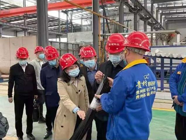 貴陽(yáng)市常委、市工商聯(lián)、廣東總商會(huì)一行到我廠調(diào)研